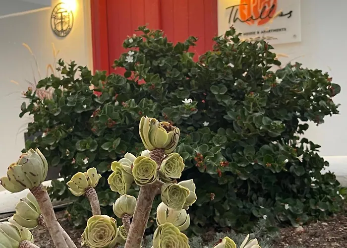 Feriehus Thallos Cave House And Karterádos